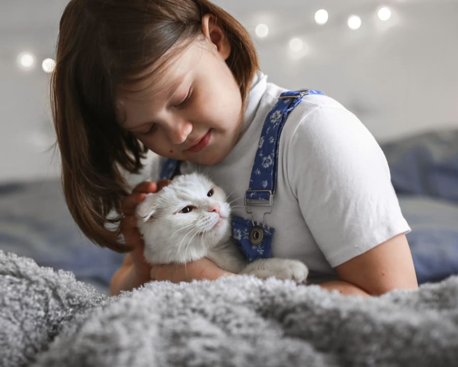 Internal Medicine for Cats & Dogs, Orangeville