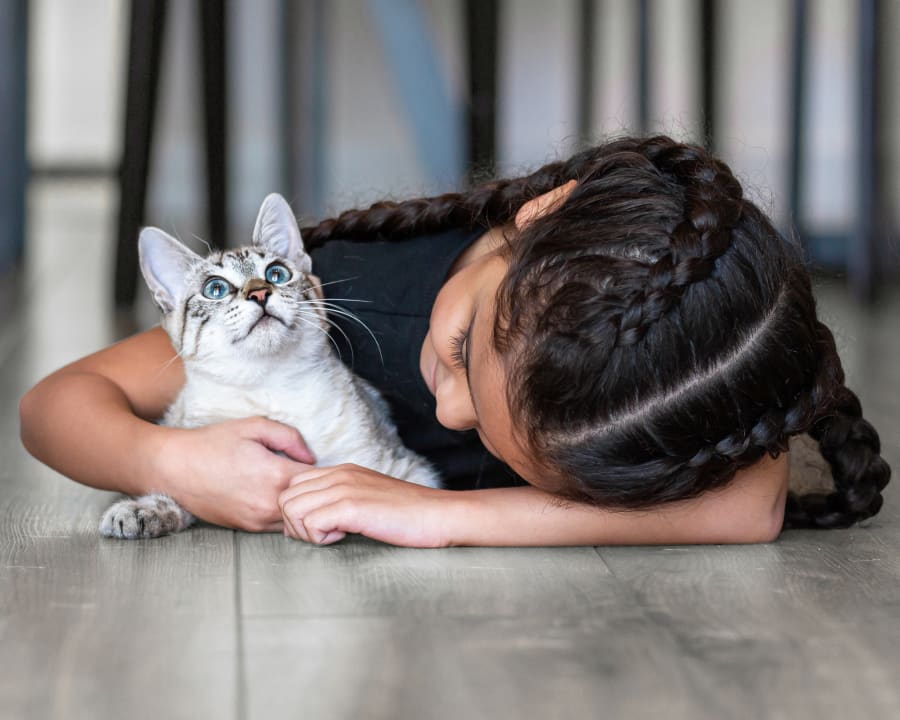 Vaccinations & Parasite Prevention Services, Orangeville