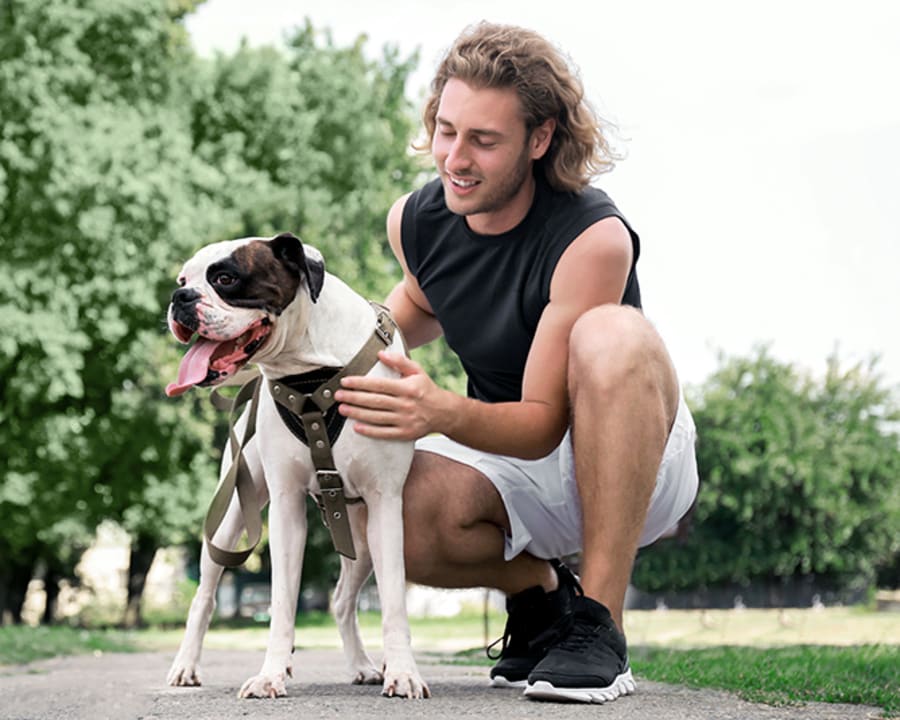 Behaviour Consulting for Dogs, Orangeville Vet