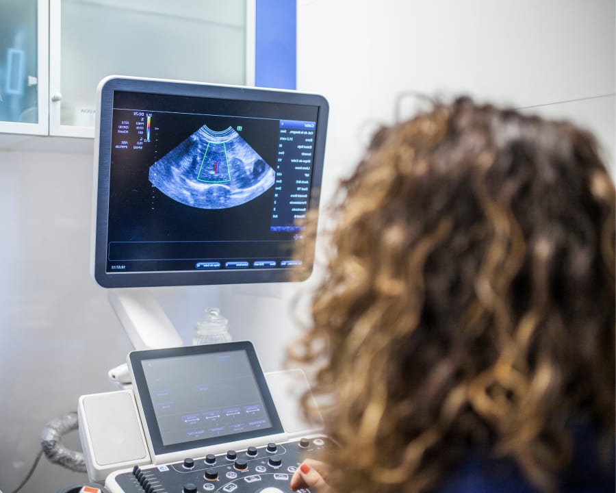 Diagnostic & Lab Technology, Orangeville Vet