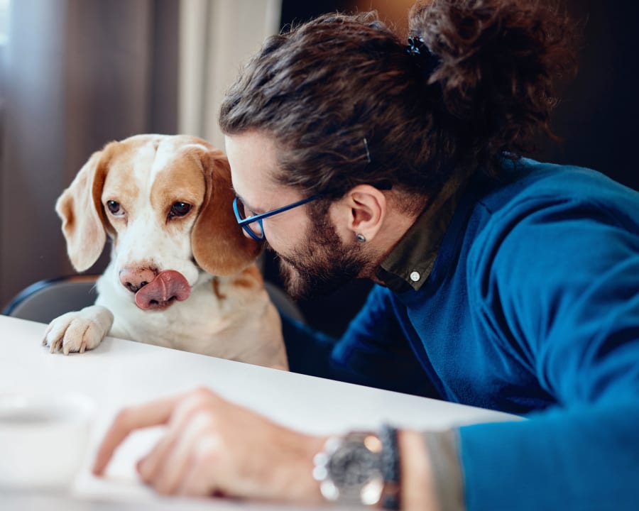 Nutrition Counseling, Orangeville Vet