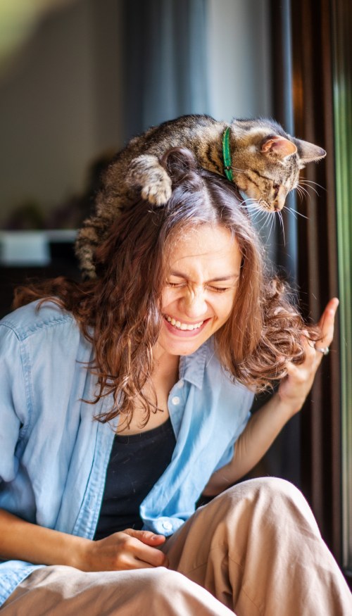 Cat climbing on top of woman's head while she laughs