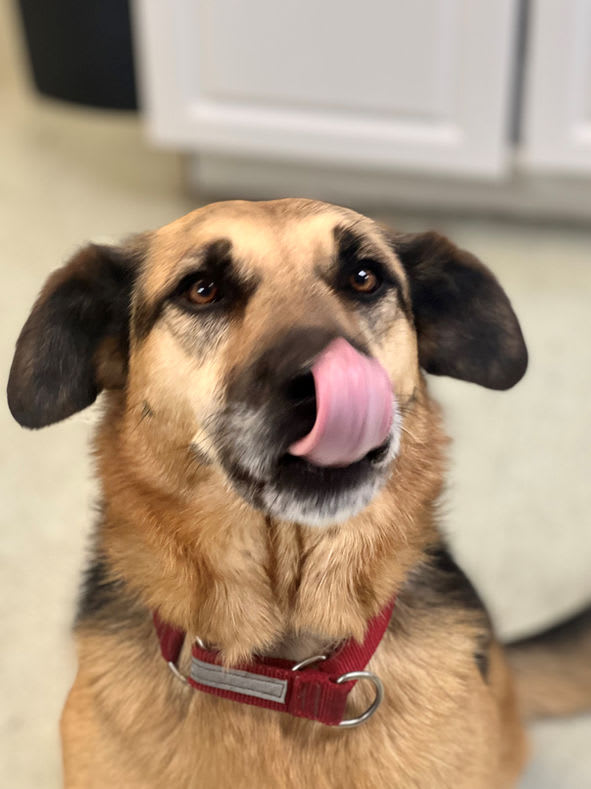 Sweetie looking at the camera